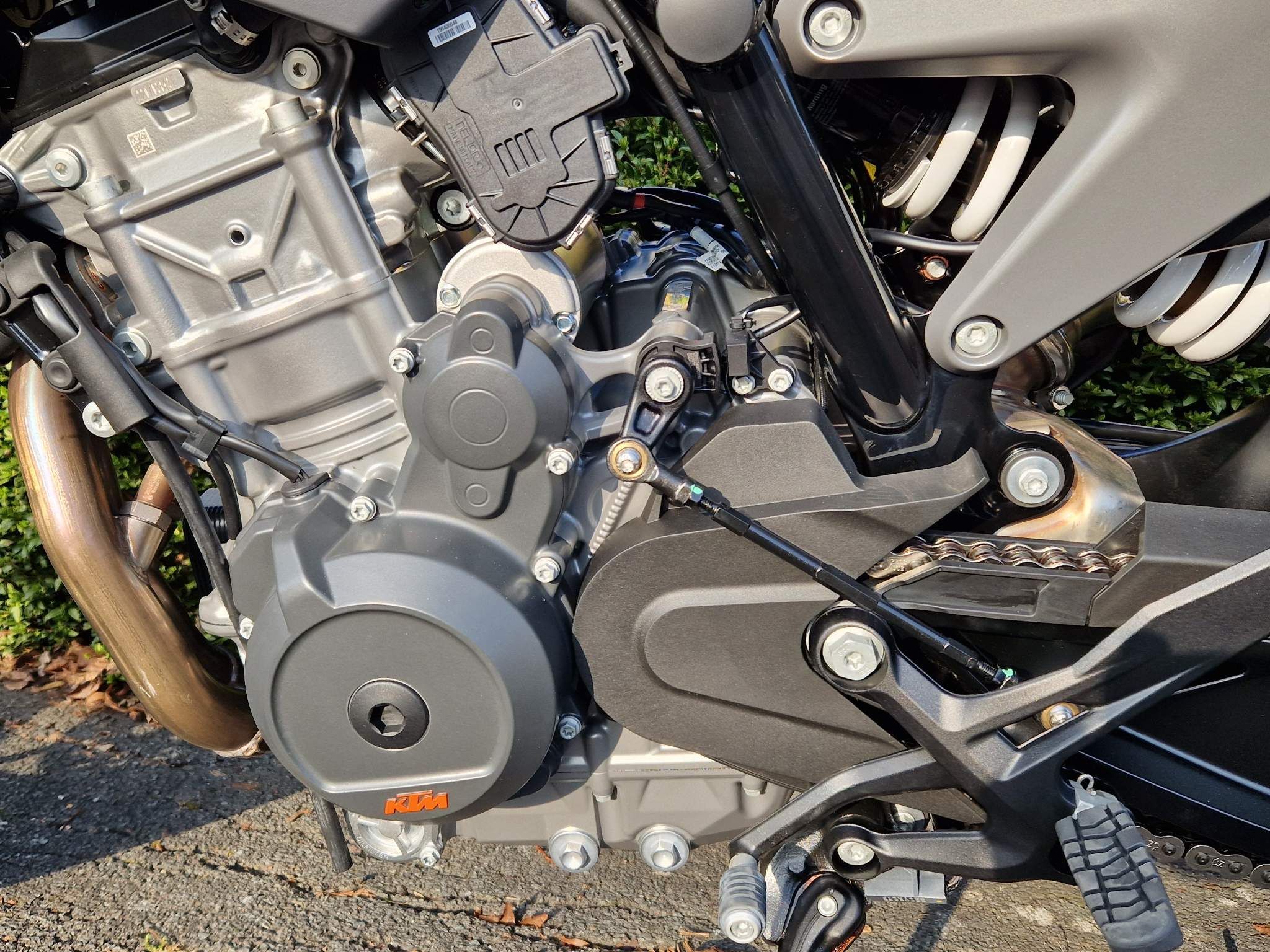 2024 KTM 790 Duke (A2)